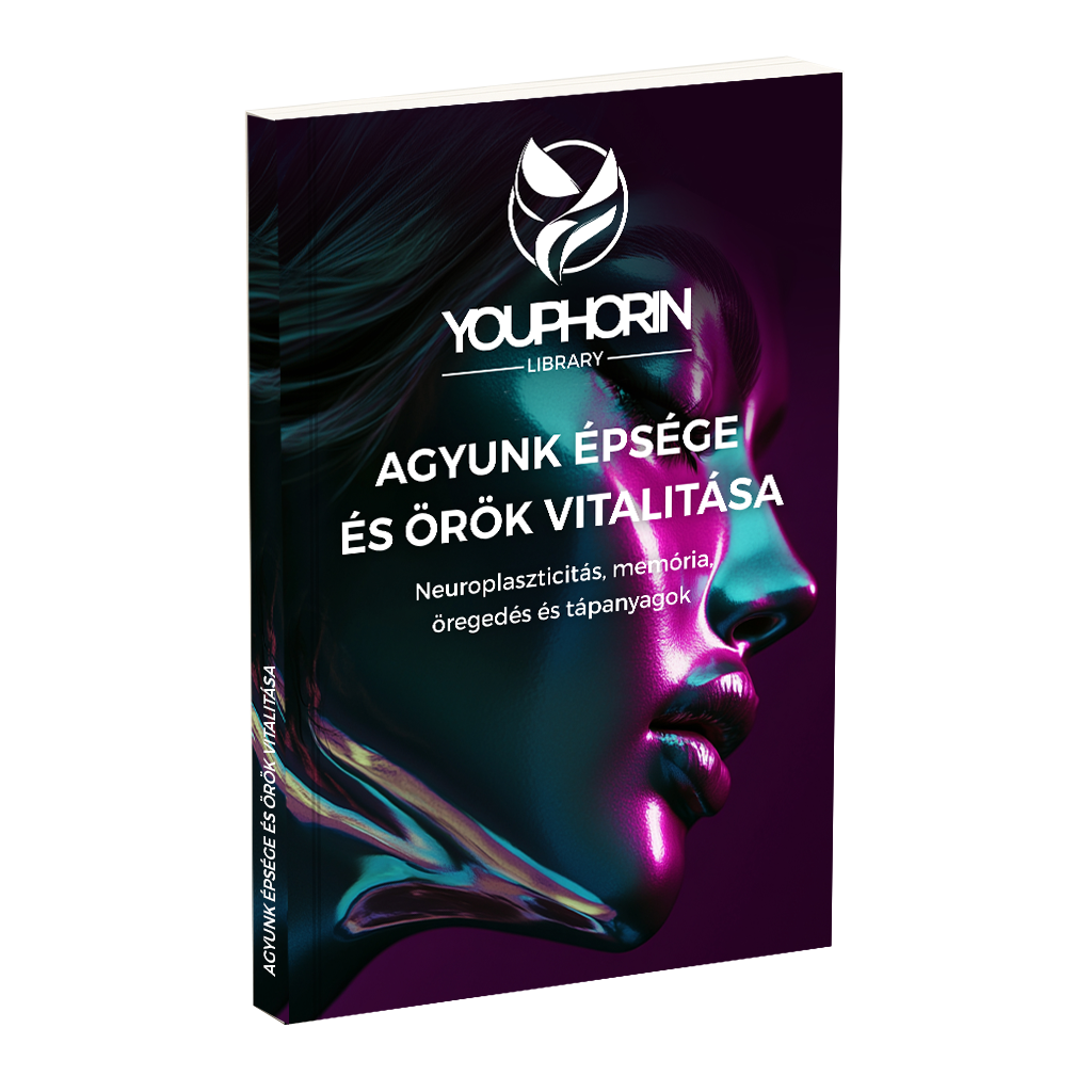 Integritatea și vitalitatea eternă a creierului nostru Ebook