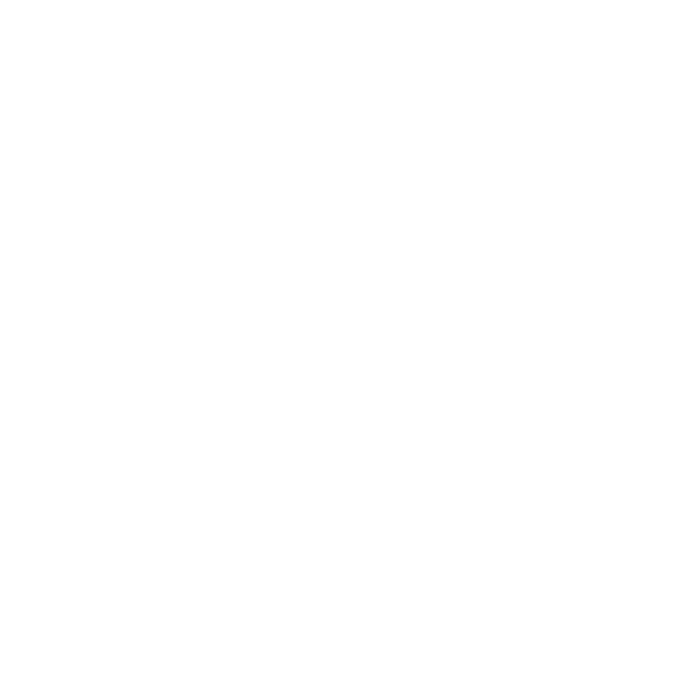 Factori de Suport Neural